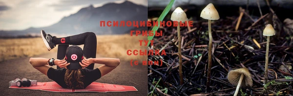 ешки Верхнеуральск