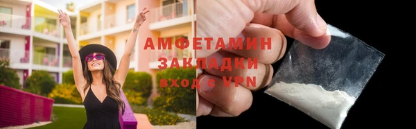 гидра Володарск