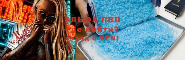 гидра Володарск