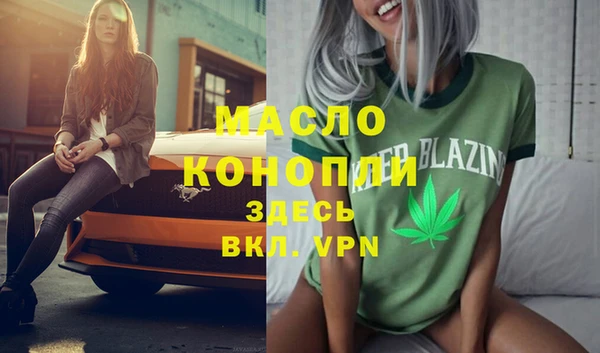 гидра Володарск