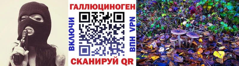 купить   Зуевка  Галлюциногенные грибы MAGIC MUSHROOMS 